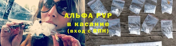 шишки Алексеевка