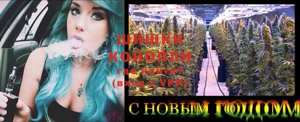 шишки Алексеевка
